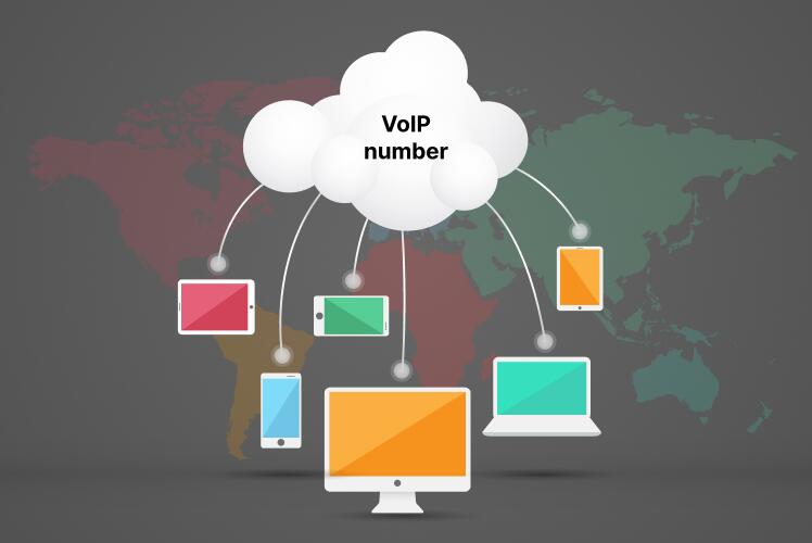 voip number