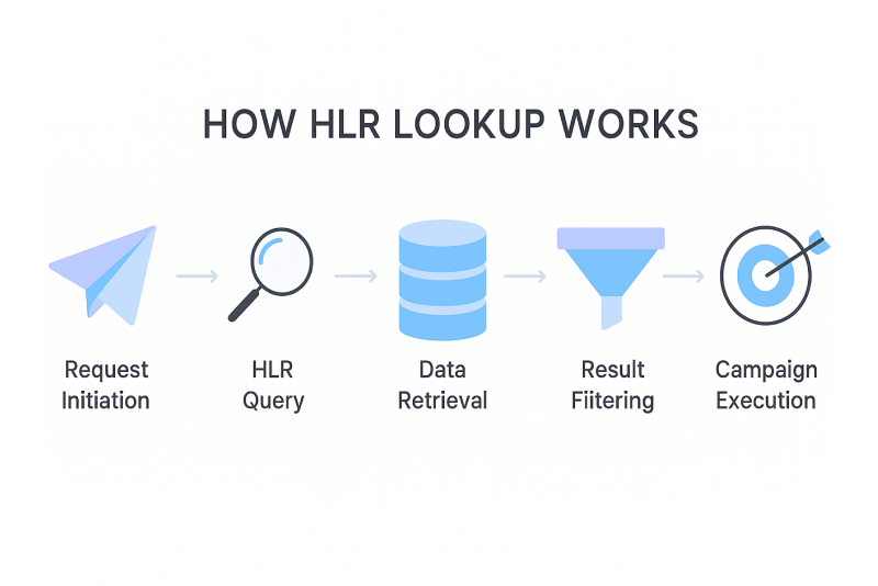 How HLR Lookup Works
